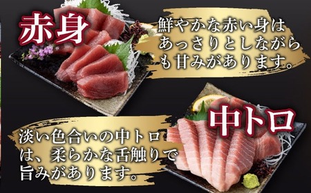 【定期便/計6回】天然メバチマグロ中トロ・赤身(1.3kg)【まぐろ】tk181