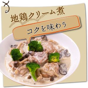 【 鶏肉 】鶏肉 むね肉 はちきん地鶏 1kg [ag028] 