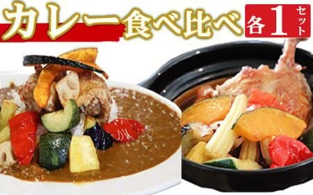 海土の食べ比べ　カレー編　スープカレーと大人のカレー　各１袋　惣菜 冷凍 おかず お手軽 加工食品 5000円