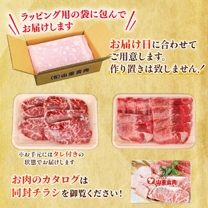 自家製 牛ハラミたれ漬け&牛タンスライス味付け 200gずつ 計400g 訳あり 牛肉 焼肉