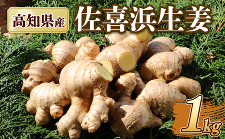 国産 佐喜浜生姜 約1kg 生姜 ショウガ 薬味 料理 家庭用 農家直送 旬 野菜 生姜焼き 高知県 室戸市