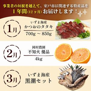 【定期便 12回】室戸まるごと定期便 かつお ネギトロ マグロ ぽんかん zza2025