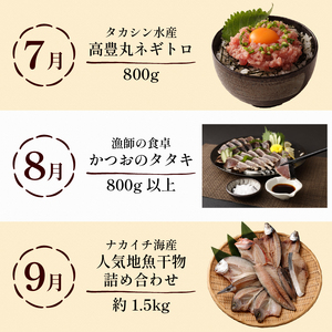 【定期便 12回】室戸まるごと定期便 かつお ネギトロ マグロ ぽんかん zza2025