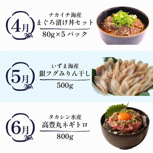 【定期便 12回】室戸まるごと定期便 海鮮コース かつお 本マグロ 伊勢海老 ネギトロ zzb2025