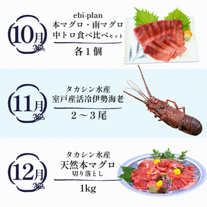 【定期便 12回】室戸まるごと定期便 海鮮コース かつお 本マグロ 伊勢海老 ネギトロ zzb2025