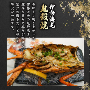 【 伊勢海老 】 伊勢海老 1kg 3尾~5尾
