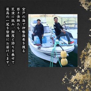 【 伊勢海老 】 伊勢海老 1kg 3尾~5尾