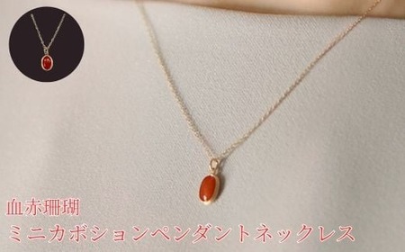 【 サンゴ ネックレス 】 ミニカボション ペンダント ネックレス 血石珊瑚