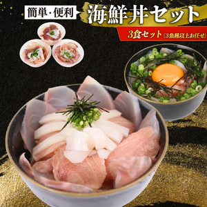 【 海鮮丼 】 海鮮丼 旬の魚3種以上 合計500g