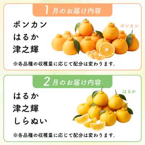 【 柑橘 詰め合わせ 2.5㎏ 】訳あり 柑橘