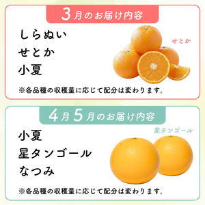 【 柑橘 詰め合わせ 2.5㎏ 】訳あり 柑橘