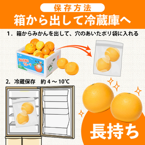 【 柑橘 詰め合わせ 2.5㎏ 】訳あり 柑橘