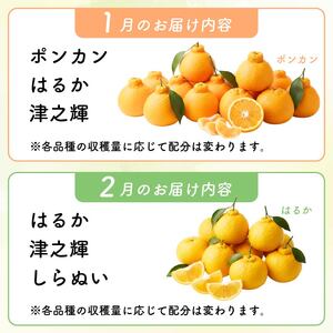 【 柑橘 詰め合わせ 5㎏ 】訳あり 柑橘