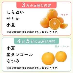 【 柑橘 詰め合わせ 5㎏ 】訳あり 柑橘