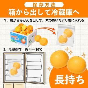 【 柑橘 詰め合わせ 5㎏ 】訳あり 柑橘