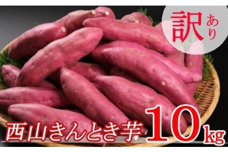 TA024【訳あり】西山きんとき芋(さつまいも)10kg