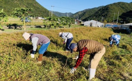 室戸産そば粉を使用した本格手打ちそば _sy001