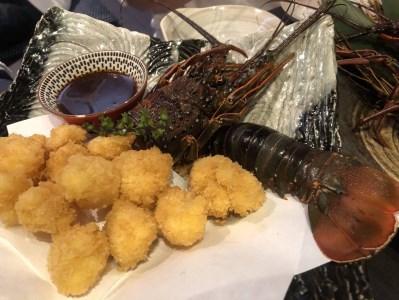 ｕｍ０３２ 訳あり 冷凍伊勢海老 １ ２ｋｇ 高知県室戸市 ふるさと納税サイト ふるなび