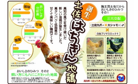 土佐はちきん地鶏鶏味噌３種６個セット _ag005 | 高知県室戸市