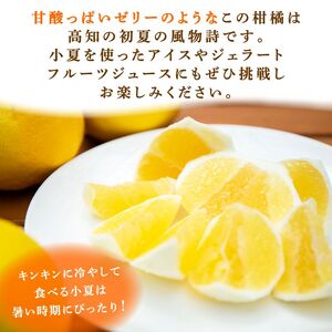 【2026年5月より発送】 熟成 露地小夏 5kg | 柑橘 フルーツ 果物 期間限定 旬の果物 ご家庭用 生産者 農家 直送 高知県 室戸市