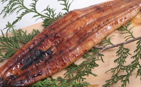 徳さんオススメ定期便【2ヶ月連続お届け】 頒布会