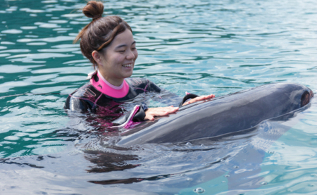 ドルフィンスイム１名（中学生以上）