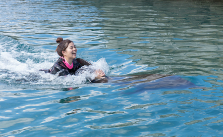 ドルフィンスイム１名（中学生以上）