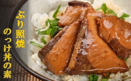 室戸の丼ランチ～ぶり照焼のっけ丼・地魚つみれセット～ _iz010