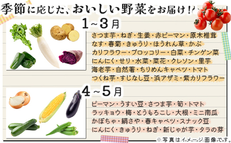 お味噌 (550g) 野菜 (8品) セット 詰め合わせ 旬 おまかせ 新鮮 野菜 やさい 野菜 やさい 野菜 やさい 野菜 やさい 味噌 みそ 味噌 みそ 吉良川みそ 調味料 高知県 室戸市 5000円 rk014