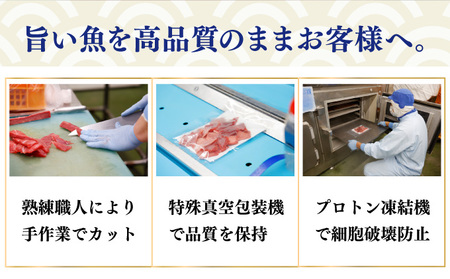 まぐろ 大トロ / 中トロ / 赤身 【ちょこっとパック】 480g(60g×8パック) まぐろ 大トロ切落し 天然まぐろ 本まぐろ 刺身 海鮮 魚介 魚 マグロ 高知県 簡単 惣菜 訳あり 大トロ 本まぐろ