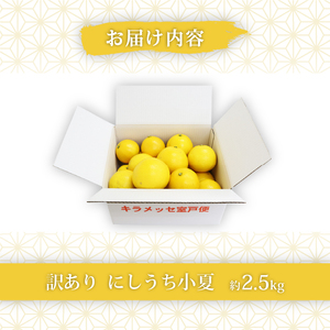 【訳あり】室戸 小夏 2.5kg | 柑橘 フルーツ 果物 期間限定 旬の果物 ご家庭用 生産者 農家 直送 5000 円 高知県 室戸市
