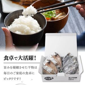 【偶数月定期便】いずま海産のトロカマス干物8枚頒布会【6回お届け】干物