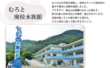 【約２～３人前】室戸のはちきん地鶏鍋セット 鍋セット2-3人 年末 地鶏 10000円 国産