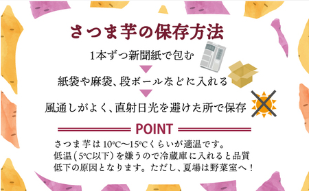 【令和７年２月お届け】【訳あり】西山きんとき芋 10kg さつまいも サツマイモ さつま芋 焼き芋 やきいも ヤキイモ 野菜 大小混合 傷 故郷納税 9000円 送料無料 ta004