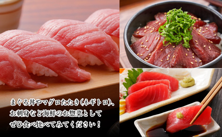 【中トロ】天然南マグロ　中トロ　１柵　【解凍書付】まぐろ 鮪 海鮮 冷凍 さしみ 刺身 父の日 高知 室戸 マグロ