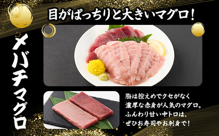厳選メバチマグロ赤身、中トロ食べくらべ【誉丸】【まぐろまぐろまぐろまぐろまぐろまぐろまぐろまぐろまぐろまぐろまぐろまぐろまぐろ】mh014