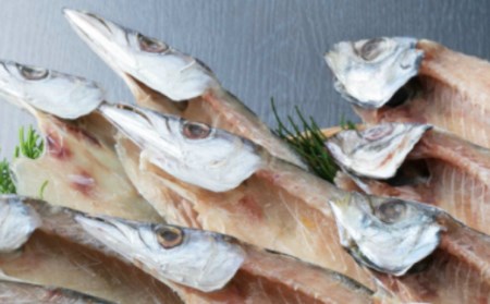 【偶数月定期便】いずま海産の干物頒布会【6回お届け】干物