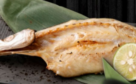 【偶数月定期便】いずま海産の干物頒布会【6回お届け】干物