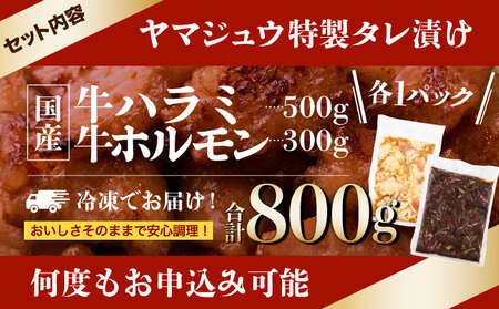 ヤマジュウの特選タレ漬け!和牛ハラミ肉500g&国産牛ホルモン300g