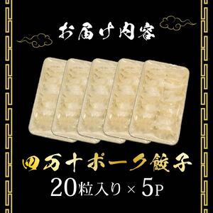 ヤマジュウの特選！四万十ポーク手作り餃子１００個