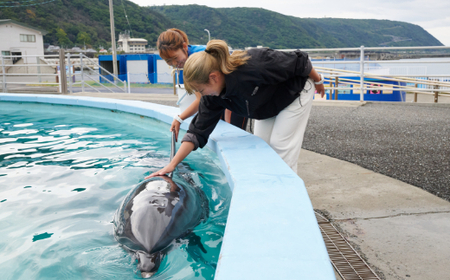 トレーナー体験２名（３歳以上小学生）