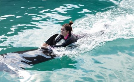 ドルフィンスイム2名(中学生以上)