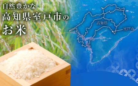 令和５年産】室戸産新米コシヒカリ １０ｋｇ _ta013 | 高知県室戸市