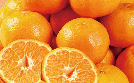 【室戸産ポンカン】冬の柑橘ポンカン 2.5kg