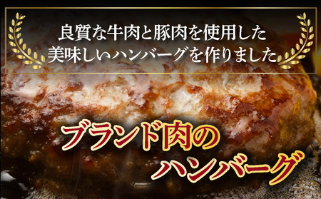 湯煎するだけ！土佐あかうしと四万十ポークのハンバーグ　５個セット