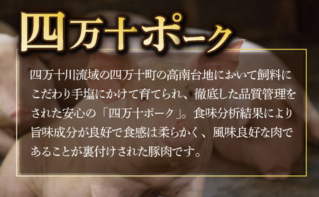 湯煎するだけ！土佐あかうしと四万十ポークのハンバーグ　５個セット