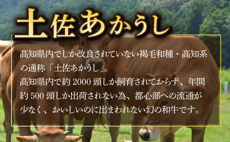 土佐あかうしと四万十ポークのハンバーグ　１５個セット _yj072