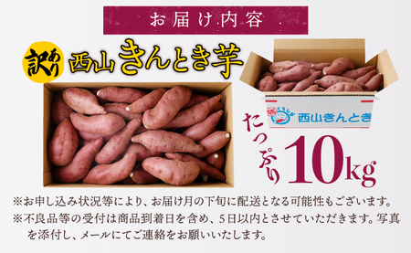 【令和６年１２月お届け】【訳あり】西山きんとき芋 10kg 新芋 さつまいも サツマイモ さつま芋 焼き芋 やきいも ヤキイモ 野菜 大小混合 傷 送料無料 故郷納税 ta011