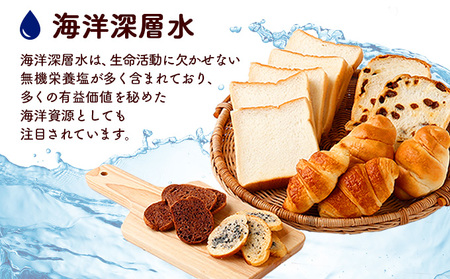 【室戸海洋深層水仕込み】こだわりパンセット | 食パン ぼうしパン ご当地パン パンセット rm002
