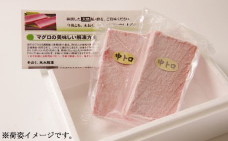 天然本マグロ　中トロ・赤身　各１柵　（計４００ｇ）まぐろ 鮪 海鮮 冷凍 さしみ 刺身 父の日 高知 室戸 マグロ